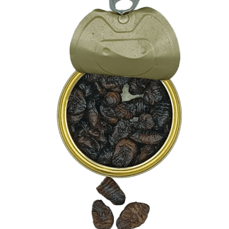 Dose Seidenraupen (35 Gramm)